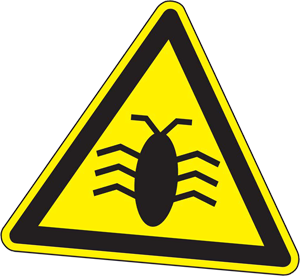 Bild eines Bugs Png